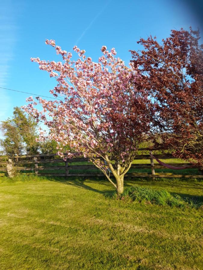 Bed and Breakfast Shadowvale E34X773 Tipperary Esterno foto