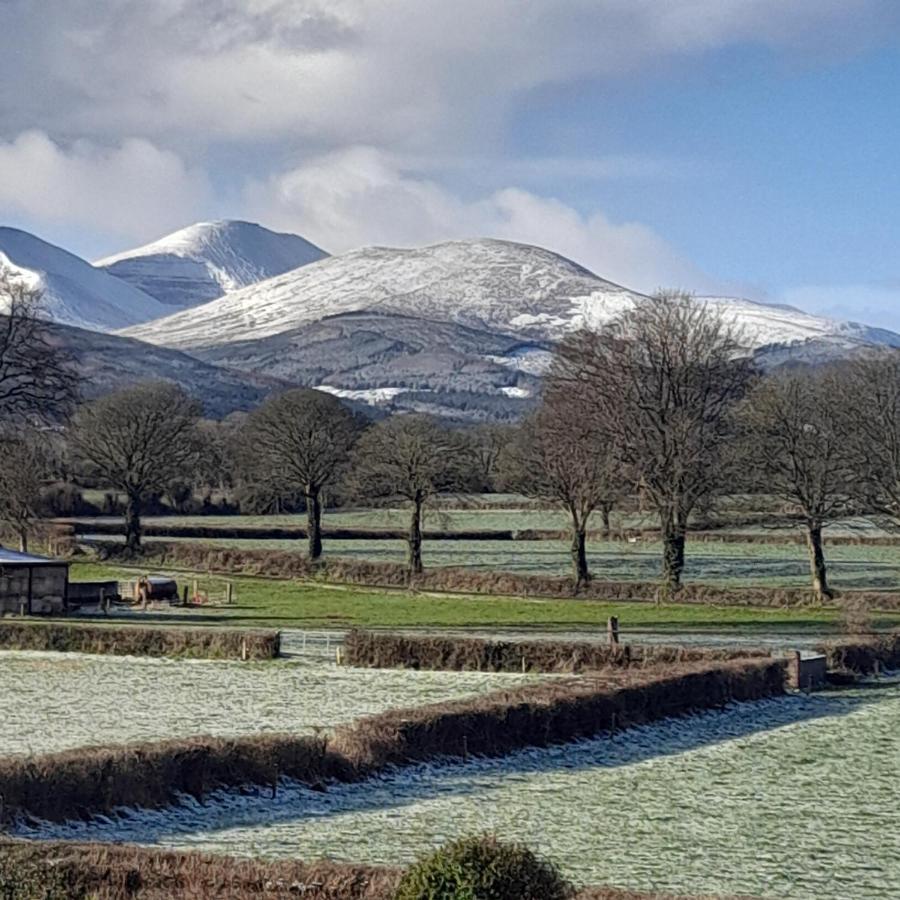 Bed and Breakfast Shadowvale E34X773 Tipperary Esterno foto