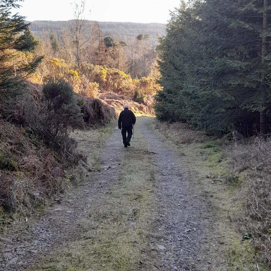 Bed and Breakfast Shadowvale E34X773 Tipperary Esterno foto
