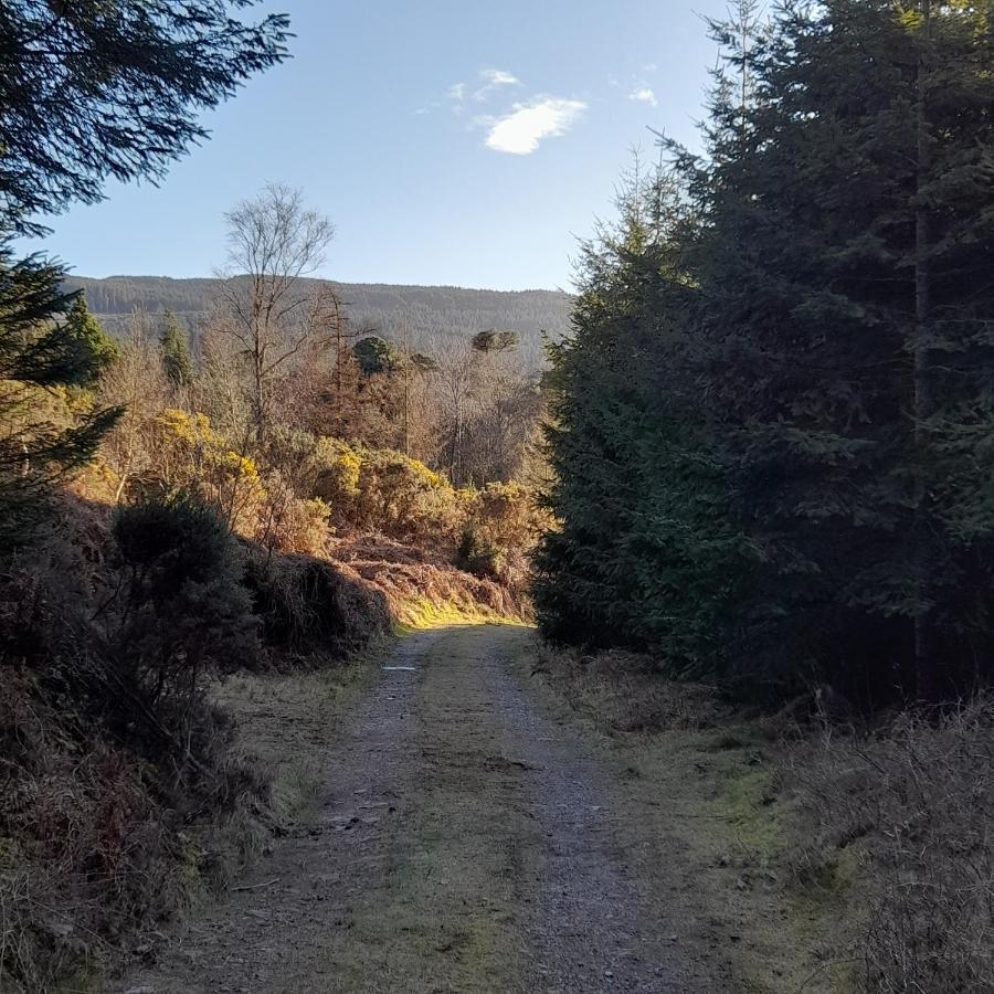 Bed and Breakfast Shadowvale E34X773 Tipperary Esterno foto