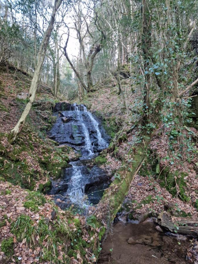Bed and Breakfast Shadowvale E34X773 Tipperary Esterno foto